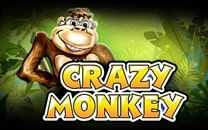 Crazy Monkey