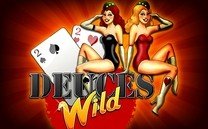 Deuces Wild 1 Hand