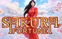 Sakura Fortune