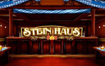 Stein Haus